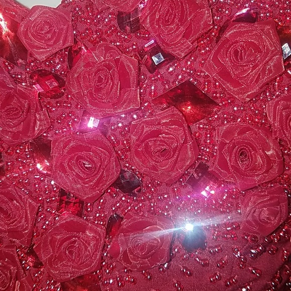 Tatyana Hermosa Dress 50s Valentine Red Ruby Roses - Picture 3 of 8